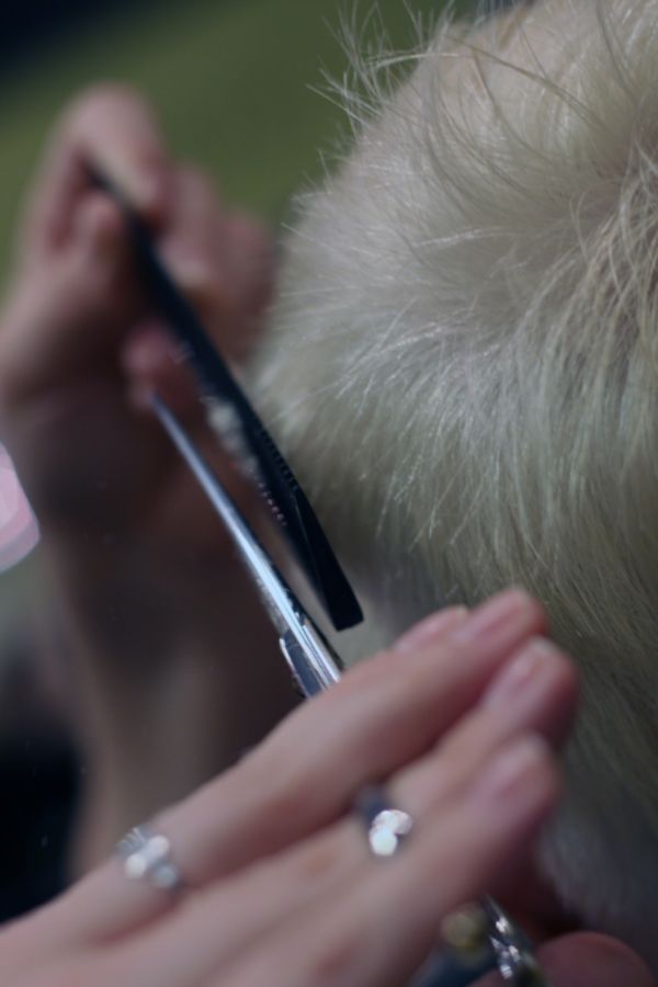 Close-up of a cosmetologist cutting hair with professional shears